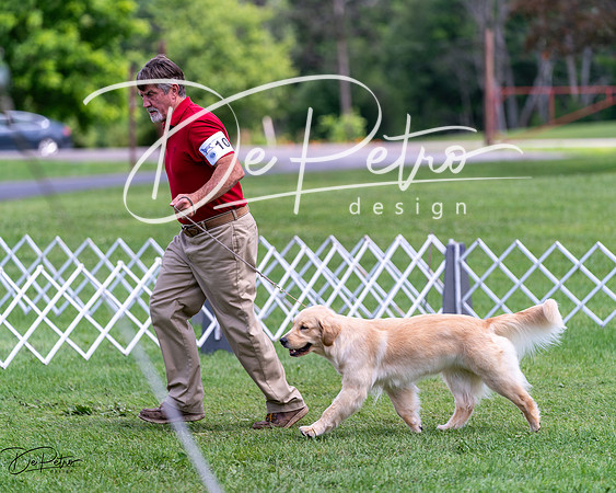 20240630-DSC00219