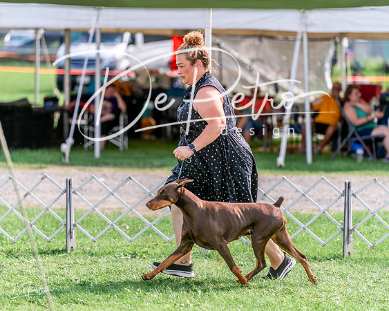 20240815-DSC07499