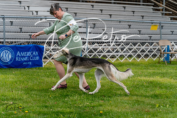 20240428-DSC08446