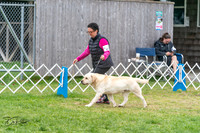 20240428-DSC00041