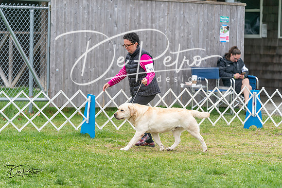 20240428-DSC00041