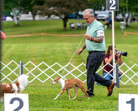 20250626-DSC02953