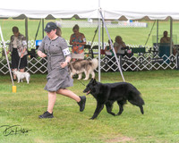 20250628-DSC08864