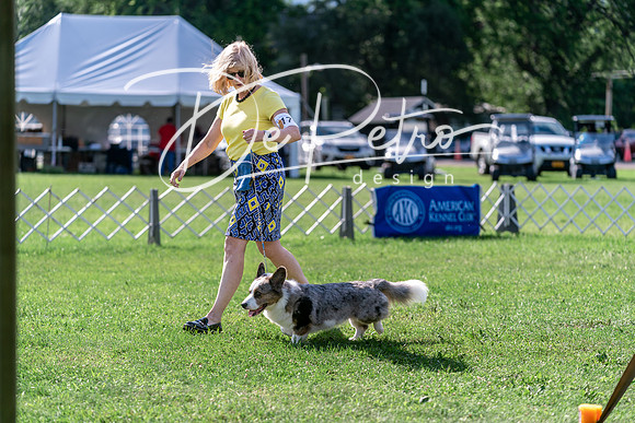 20240630-DSC04917