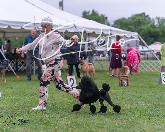 20250627-DSC06751