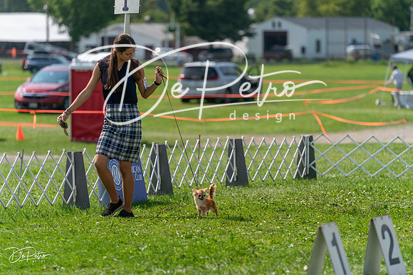20240816-DSC00468