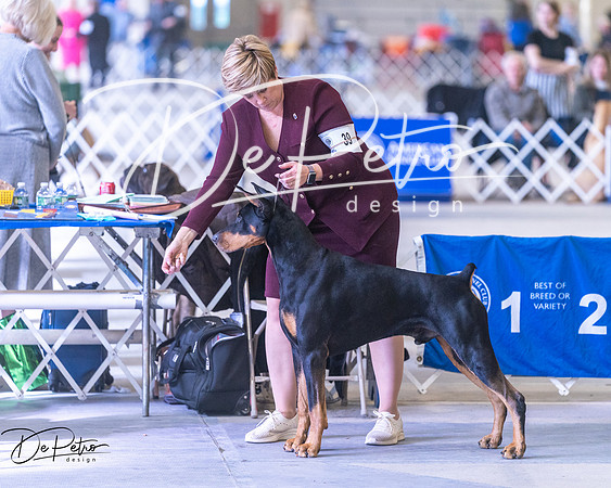 20250302-DSC07038