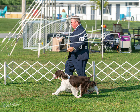 20240913-DSC00307