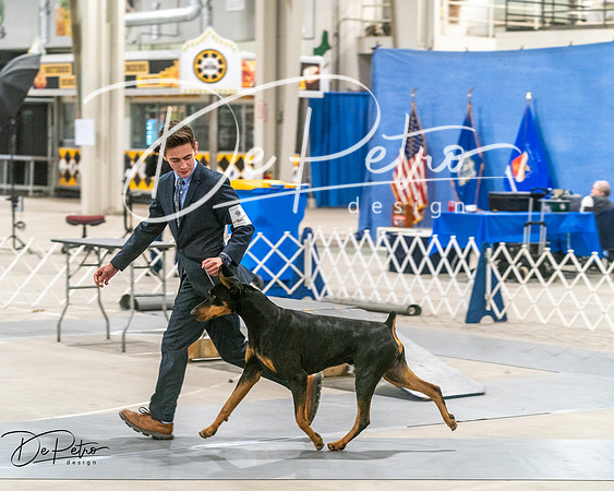 20250302-DSC07593