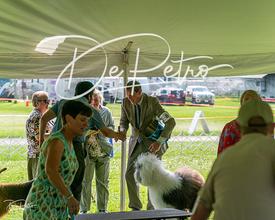 20240816-DSC01136