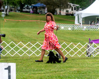 20250626-DSC02998
