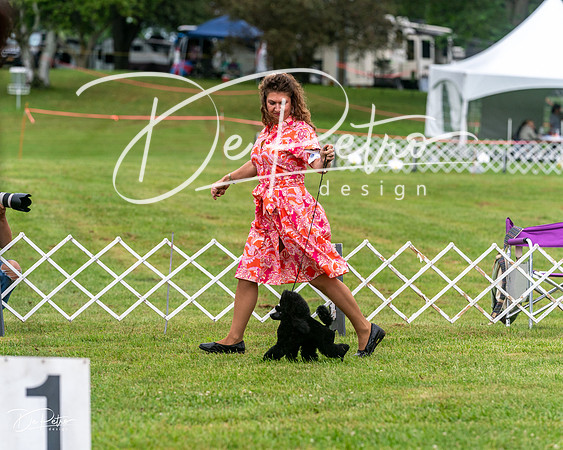 20250626-DSC02998