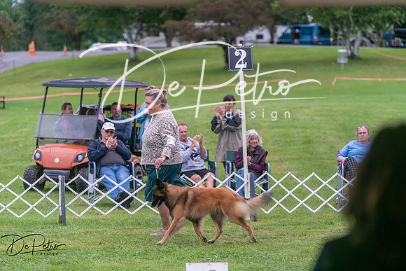 20250627-DSC06117