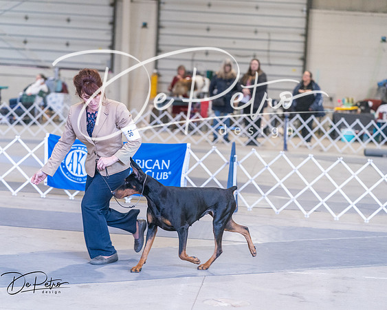 20250302-DSC06760