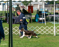 20240913-DSC00048