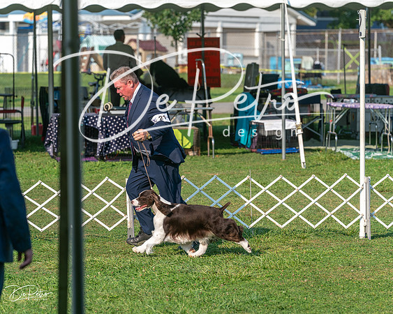20240913-DSC00048