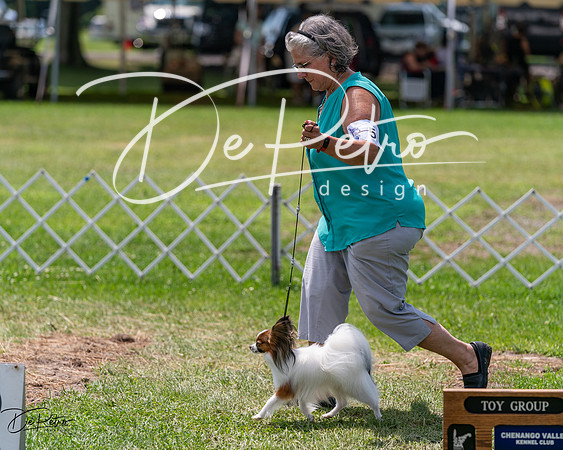 20240630-DSC01631