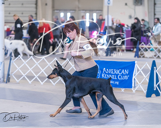 20250302-DSC06706