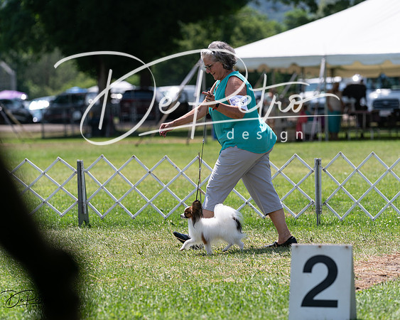 20240630-DSC01437