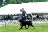 20250626-DSC02132