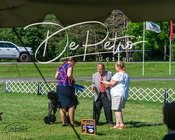 20250629-DSC01262