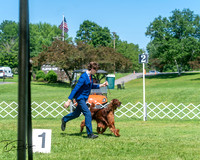 20250629-DSC00087