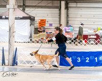 20250301-DSC03932