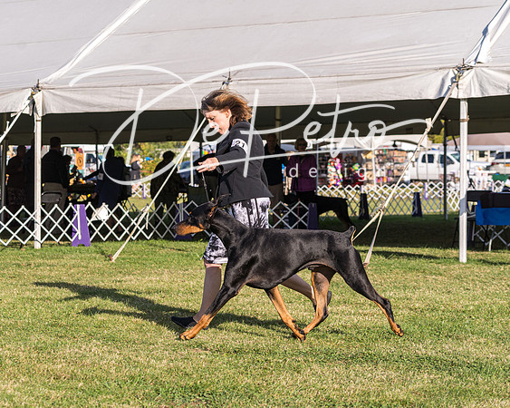 20190929-DSC02635