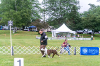 20250626-DSC02638