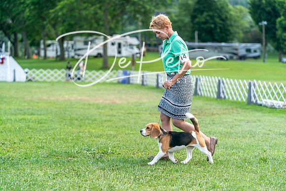 20240630-DSC05411