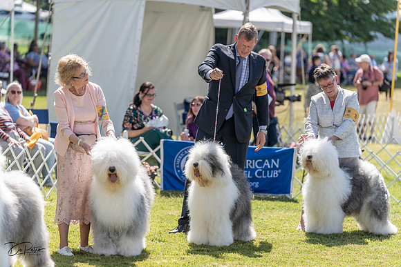 20220620-DSC04401
