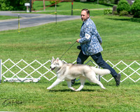 20250629-DSC09712