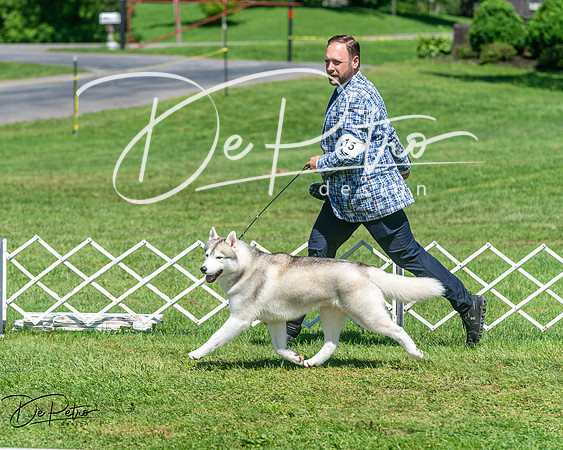 20250629-DSC09712
