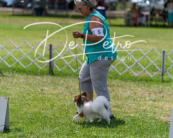 20240630-DSC01639
