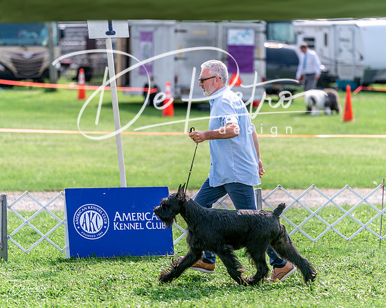 20240815-DSC07595