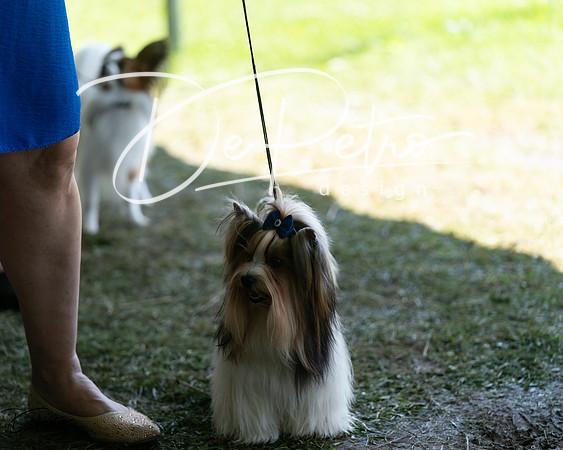 20240630-DSC01458