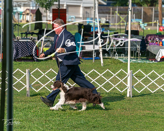 20240913-DSC00298