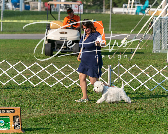 20240913-DSC00422