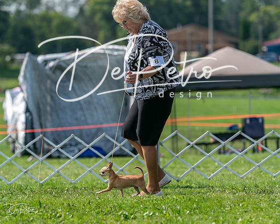 20240816-DSC01062