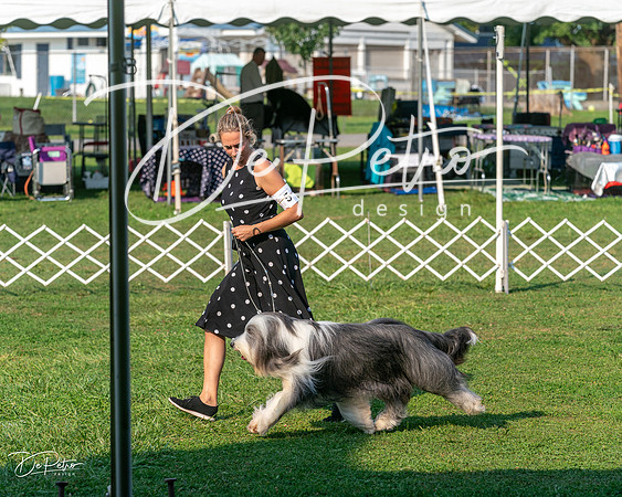 20240913-DSC00164