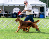 20240630-DSC03904