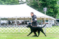 20250626-DSC02097