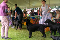 20250622-DSC01652