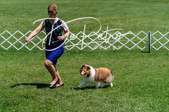 20240630-DSC01383