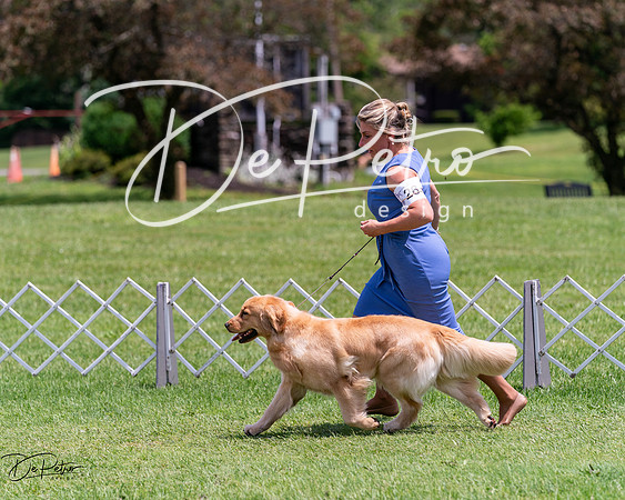 20240630-DSC00400