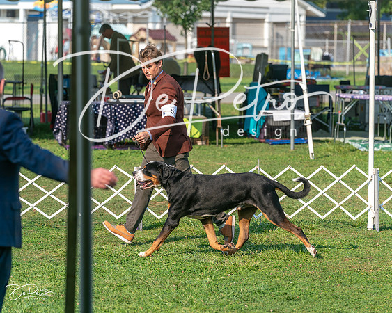 20240913-DSC09982