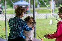 20250627-DSC06213