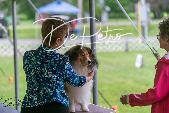 20250627-DSC06213