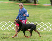 20250628-DSC07210