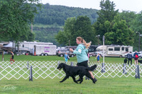 20250626-DSC02188